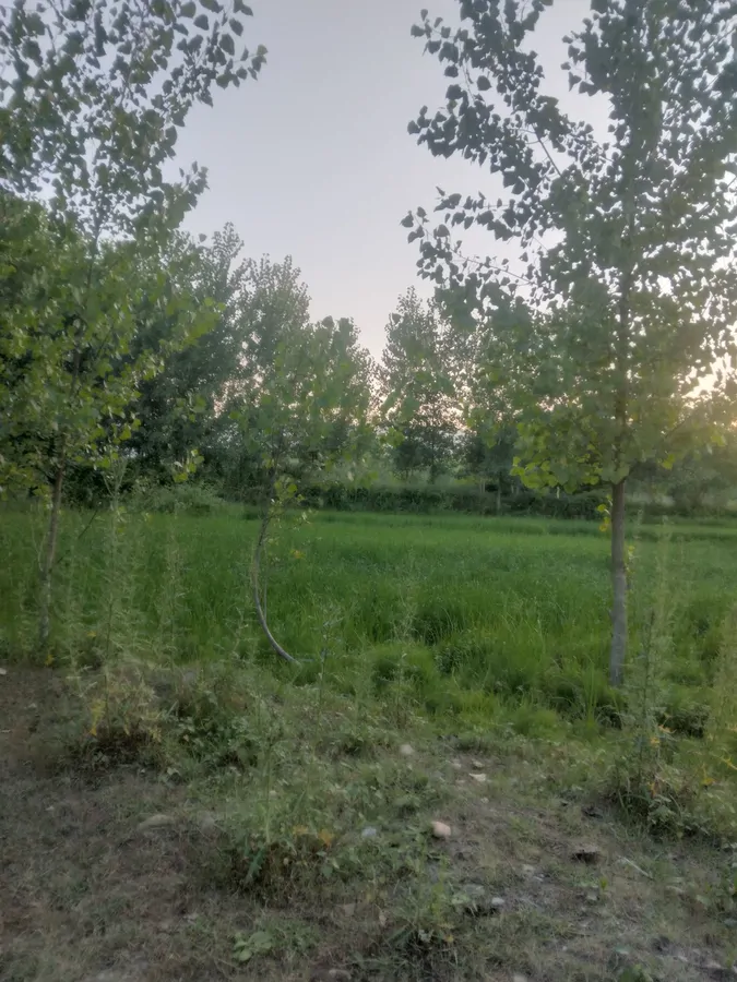 تصویر ۱ - کلبه کلبه کاهگلی  در  ماسال