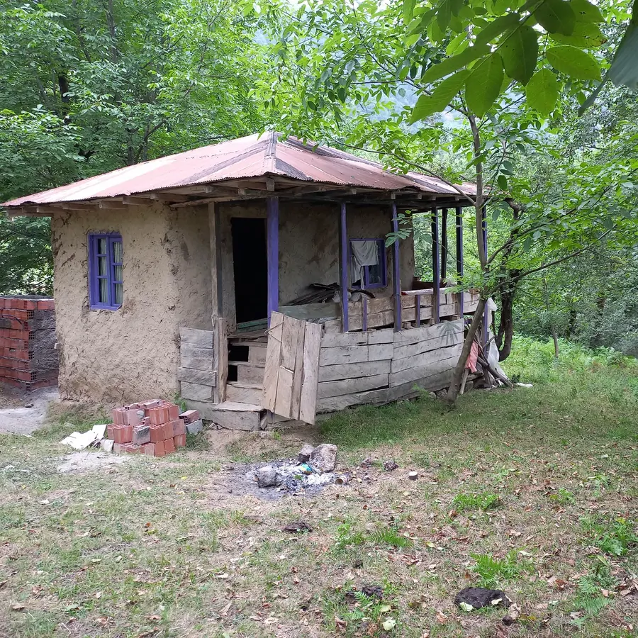 تصویر ۱ - کلبه کلبه جنگلی مبین دنیایی  در  آستارا