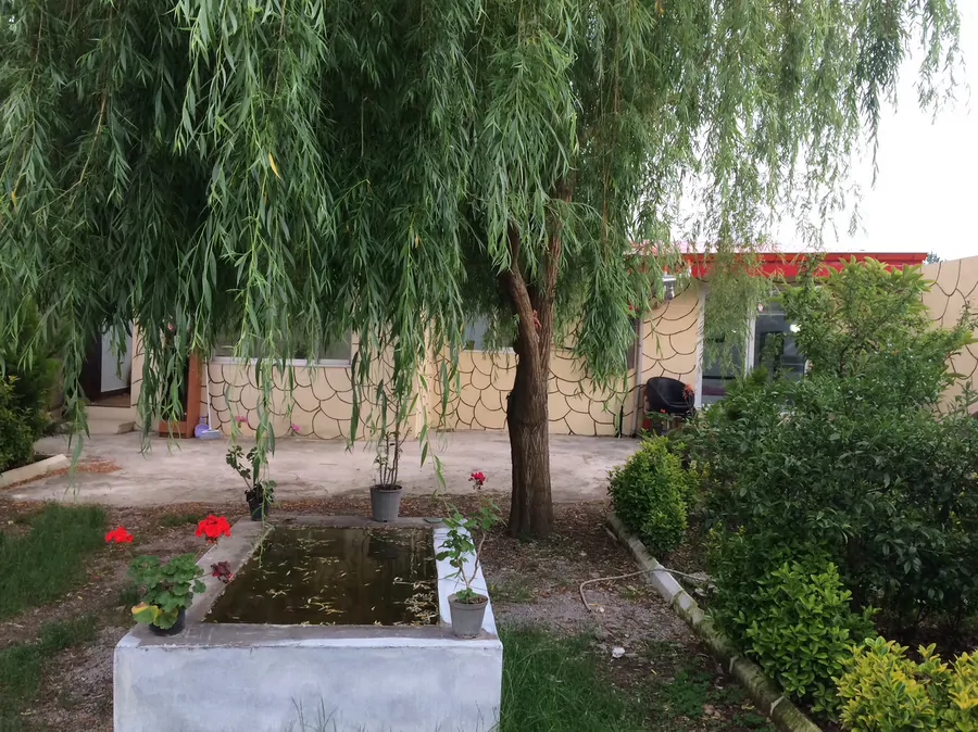 تصویر ۱ - ویلا بید مجنون در  انزلی