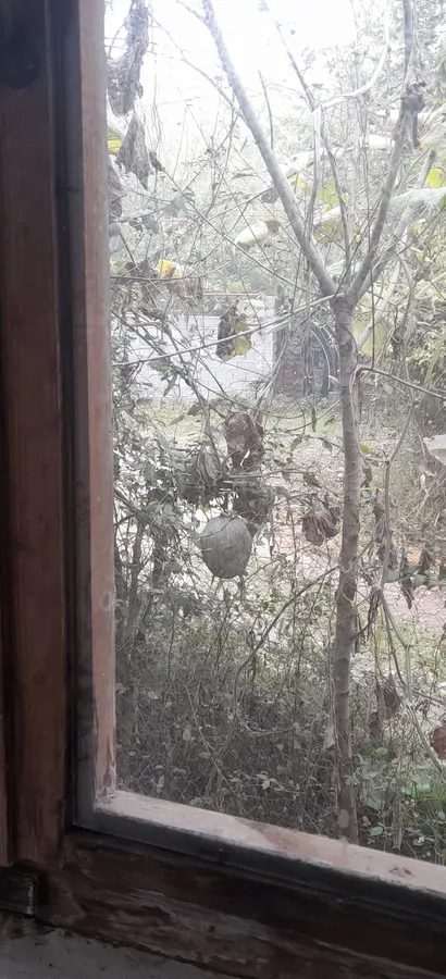 تصویر ۱ - ویلا خانه روستایی نزدیک به جنگل در  سیاهکل