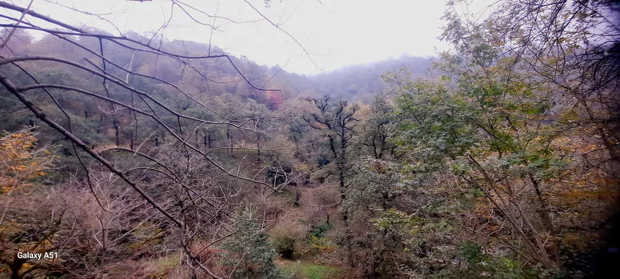 تصویر ۱ - کلبه کلبه سوییسی درداخل طبیعت وزندگی روستایی در  ماسوله 