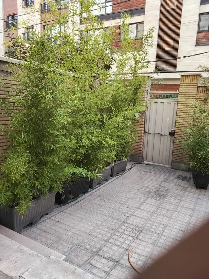 تصویر ۱ - آپارتمان اپارتمان دو خوابه سپیدار ۴ در  تهران