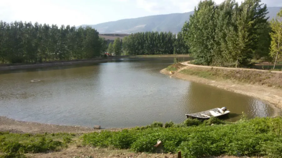 تصویر ۱ - سوییت با نمایی رو به برکه در  کیاسر