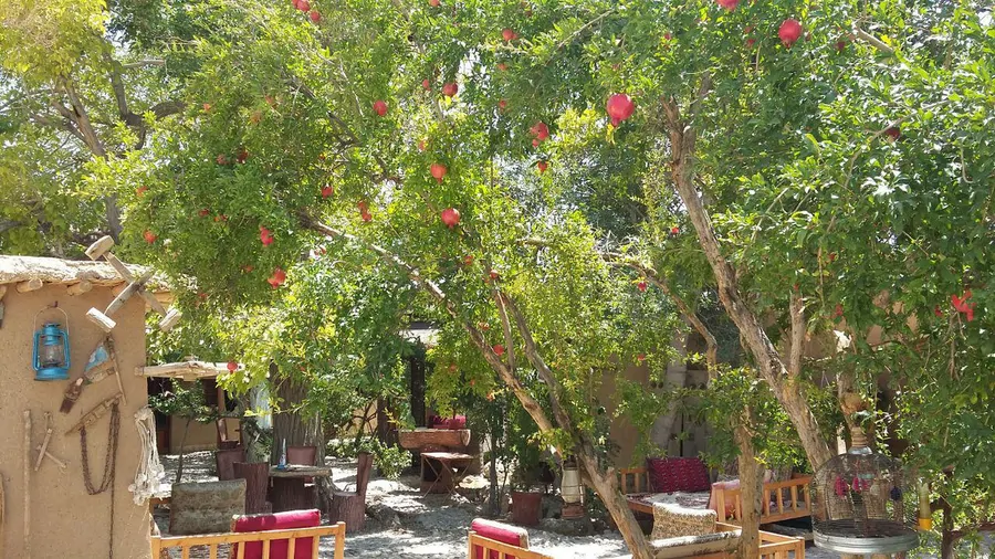 تصویر ۱ - اقامتگاه بومگردی سرو کهن (واحد۵) در ابرکوه