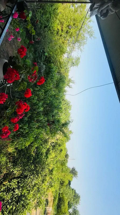تصویر ۱ - ویلا لاکچری کوهپایه ای با منظره رو به کوه و جنگل  در  ماسال