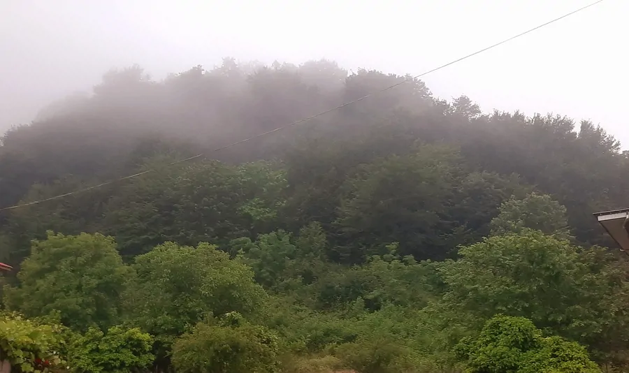 تصویر ۱ - ویلا ویلای داداشی در  لاهیجان