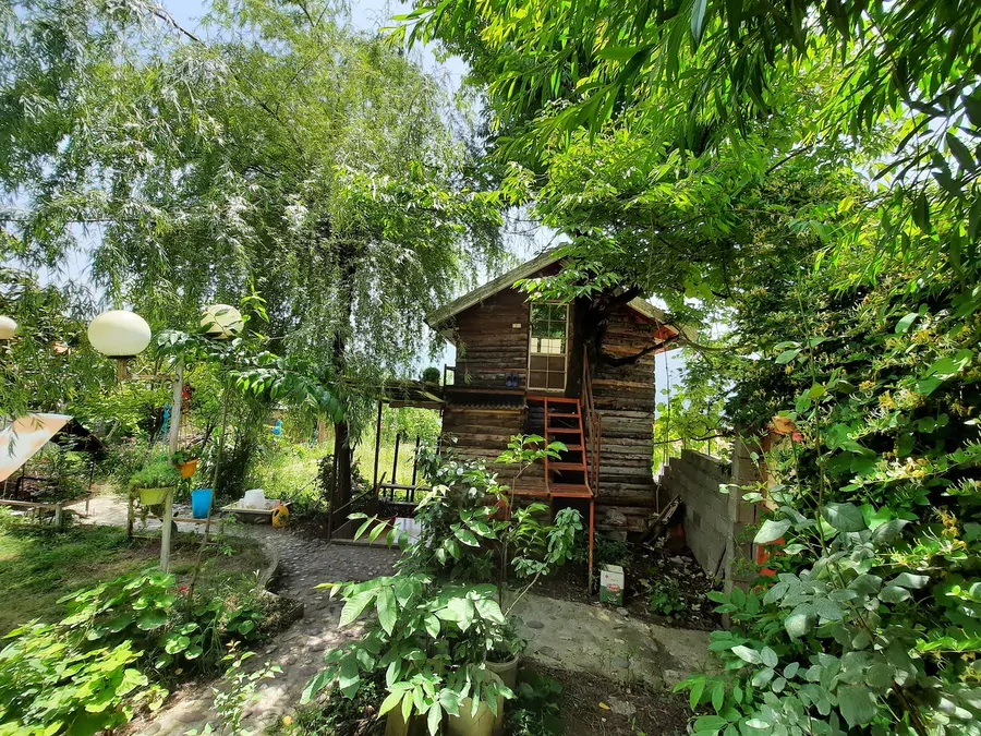 تصویر ۱ - کلبه چوبی لِلی در سوادکوه