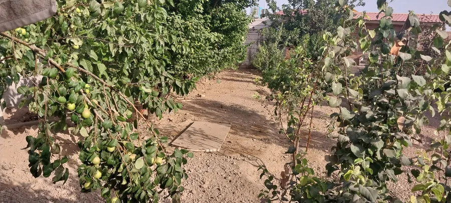تصویر ۱ - ویلا باغچه سعیدآباد استخر دار در  ورامین