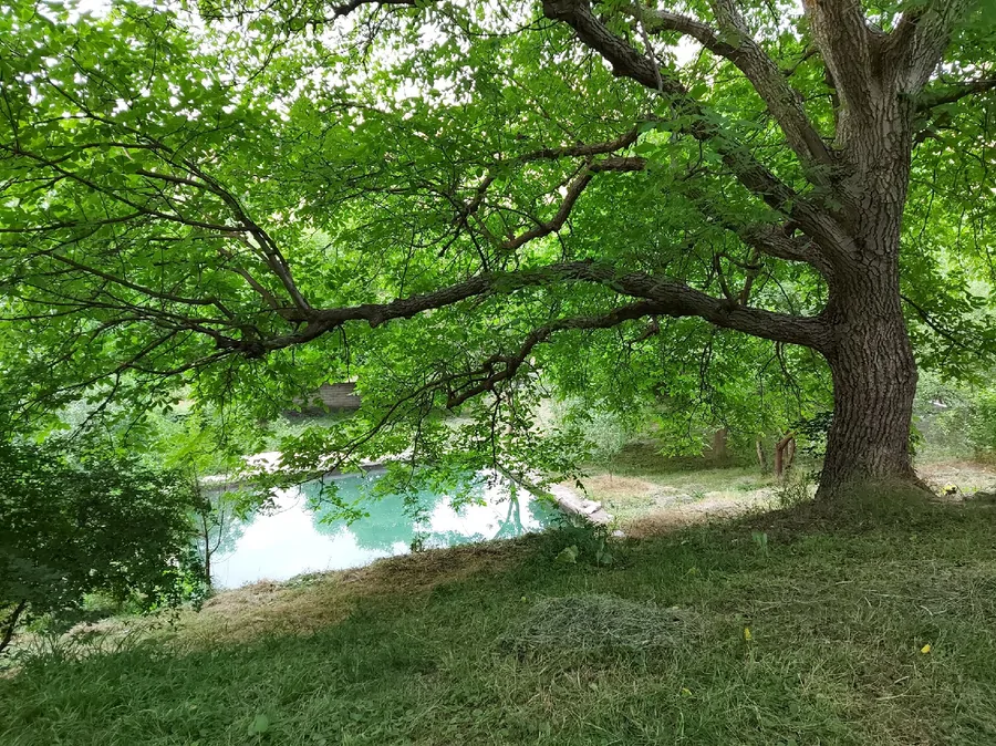 تصویر ۱ - ویلا اقامتگاه بومگردی ائلسون  در  کلیبر