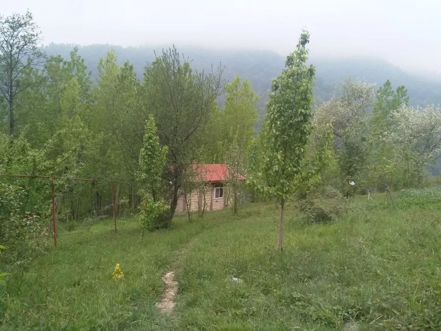 تصویر ۱ - ویلا تیته در  اولسبلنگاه