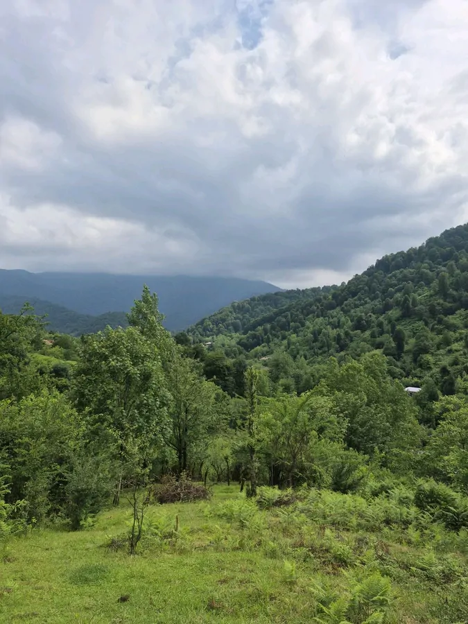 تصویر ۱ - کلبه کلبه جنگلی بهار در شفت