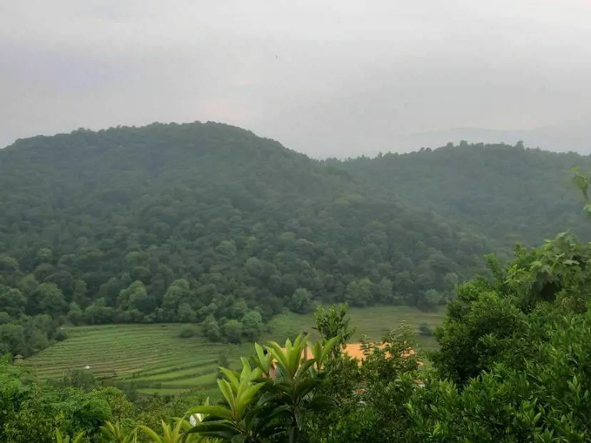 تصویر ۱ - خانه سرای عشق لفور شیرگاه در  لفور