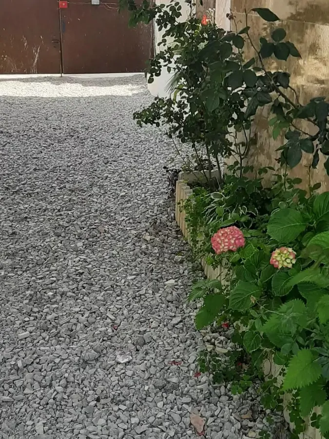 تصویر ۱ - ویلا مهبد در  عباس آباد