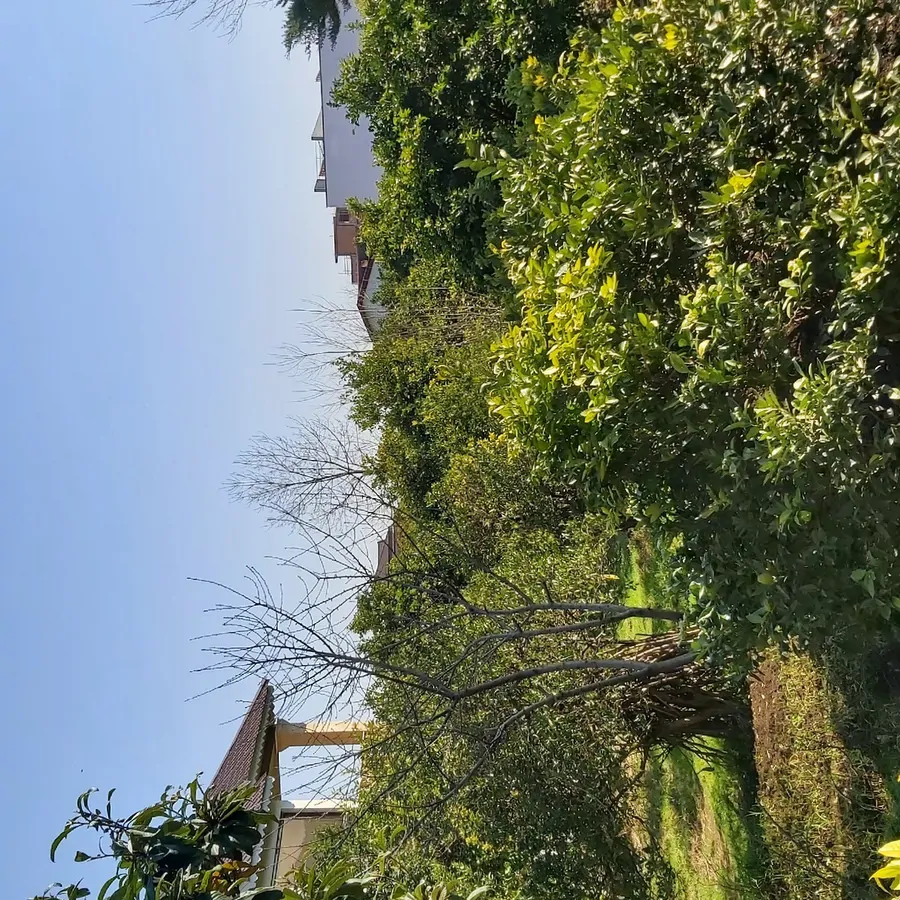 تصویر ۱ - ویلا ویلای باغ پرتقال در  متل قو