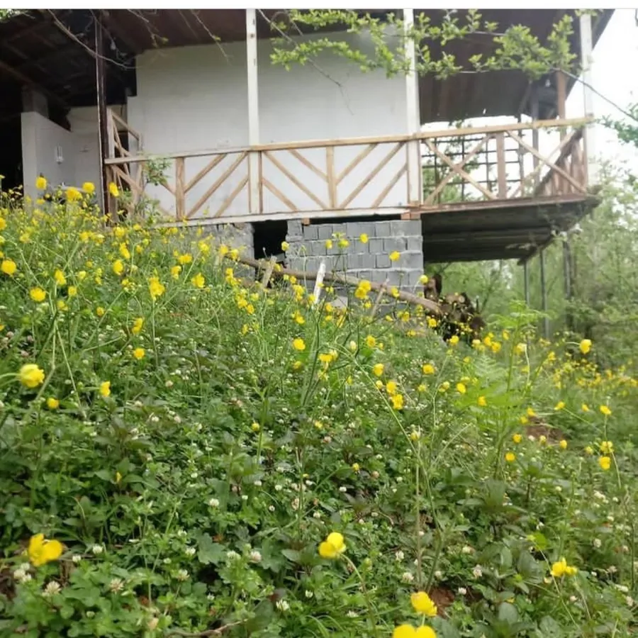 تصویر ۱ - کلبه کلبه پنج ابشار در  بابل