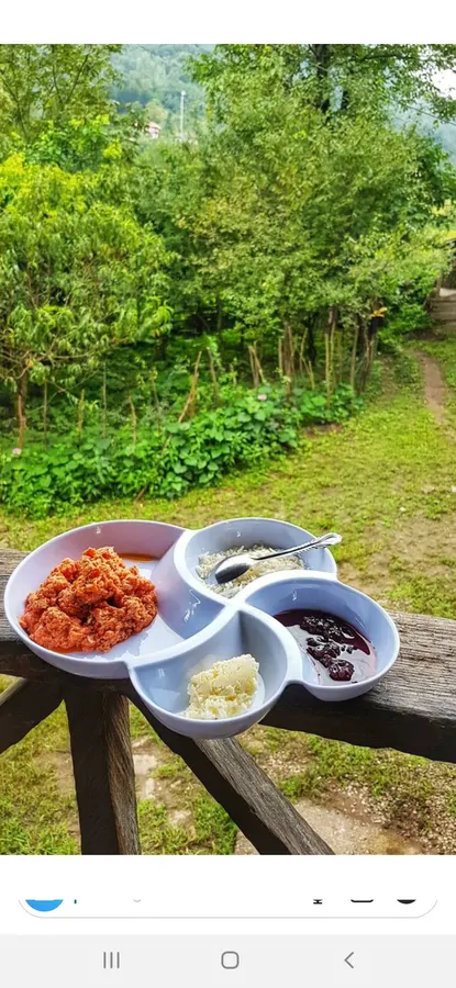 تصویر ۱ - کلبه روخانکول - واحد ۲ در  رشت