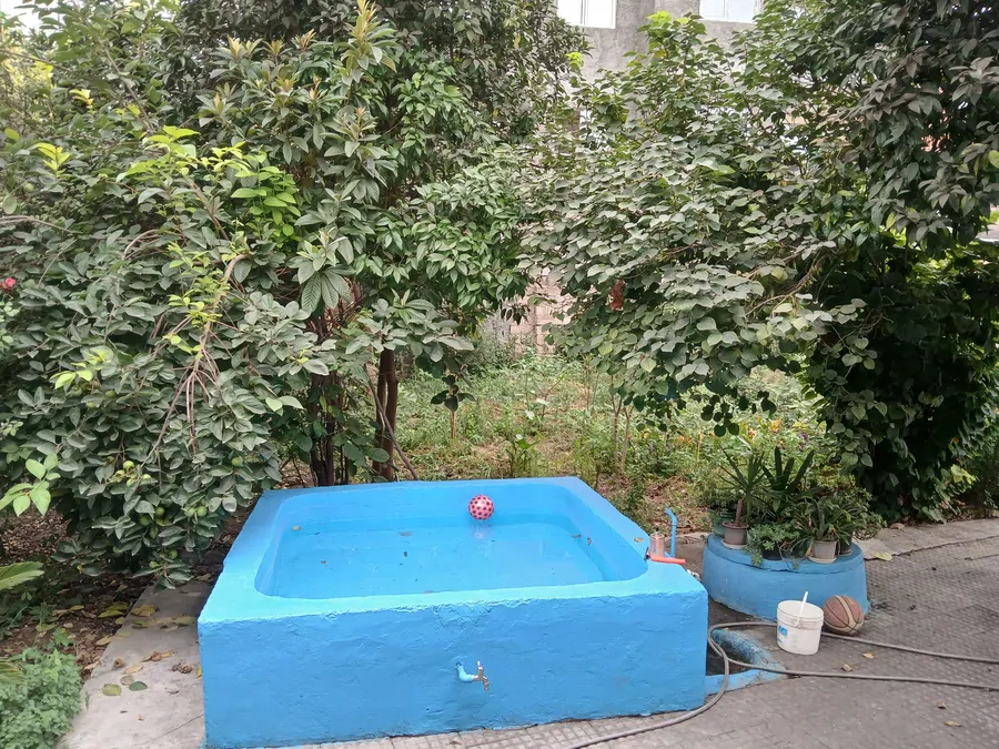 تصویر ۱ - ویلا خانه باغ با حوض زیبا در  قائمشهر