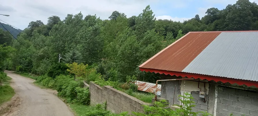 تصویر ۱ - ویلا ویلاجنگلی لاکچری در  تالش