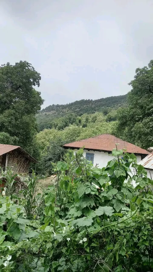 تصویر ۱ - ویلا اجاره ویلا روستایی اشکورات در رودسر