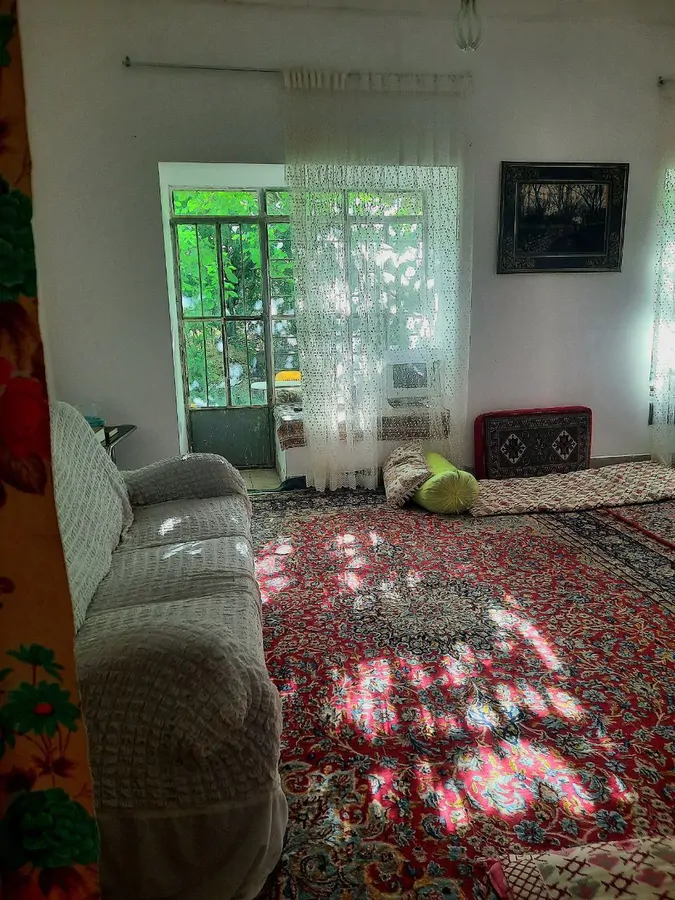 تصویر ۱ - خانه خانه گردو در  راین کرمان