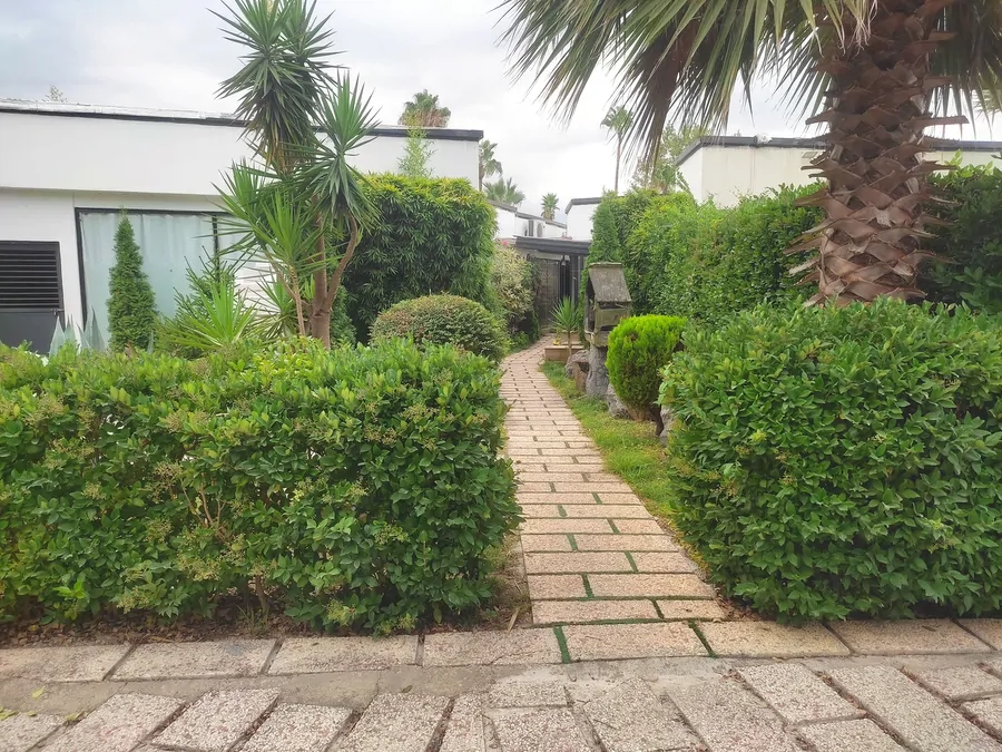 تصویر ۱ - ویلا استخر دار با الاچیق در  نور