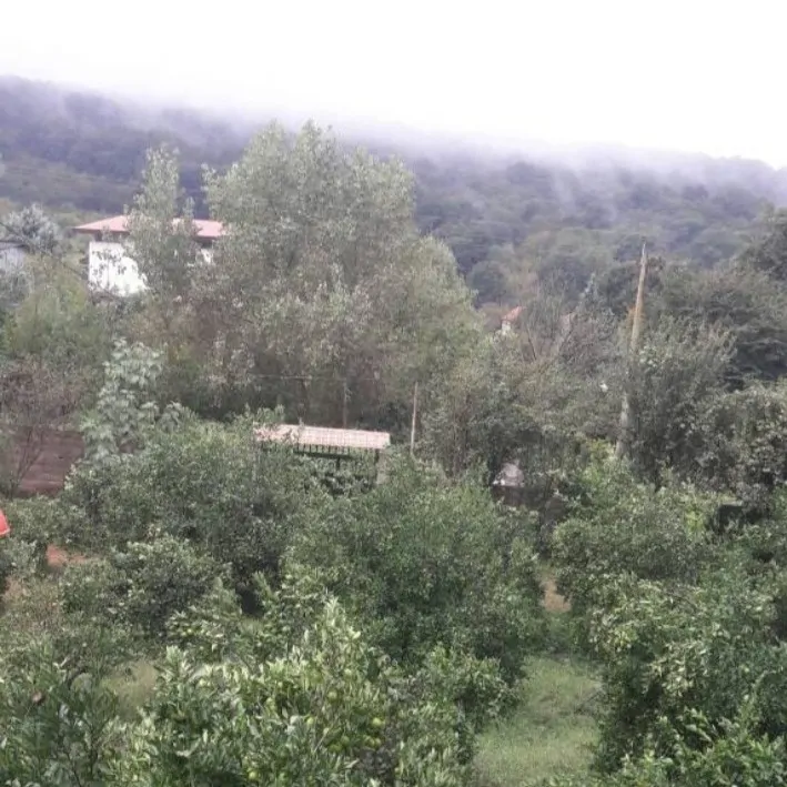 تصویر ۱ - ویلا شیدایی در  ساری