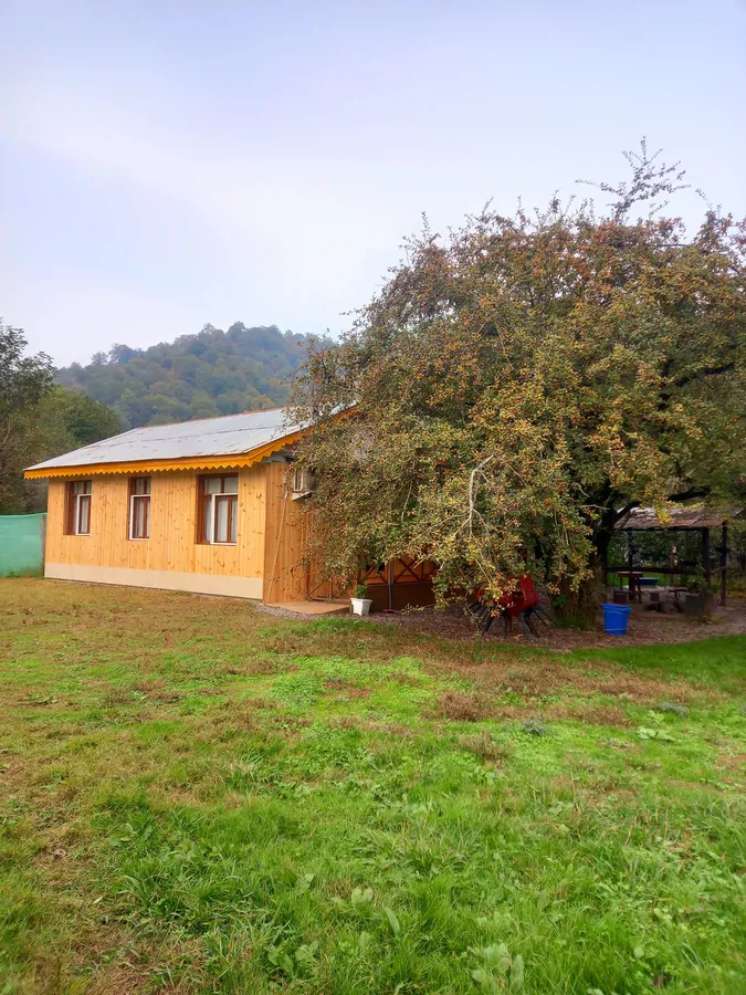 تصویر ۱ - کلبه جنگلی عادل در تالش