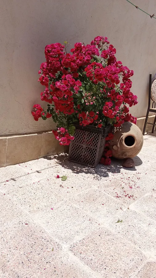 تصویر ۱ - ویلا آرامش در  اردبیل