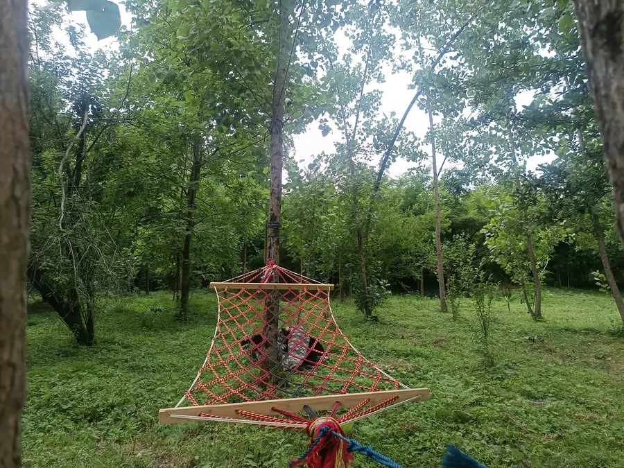 تصویر ۱ - کلبه کلبه سنتی جنگلی متیلا در رشت