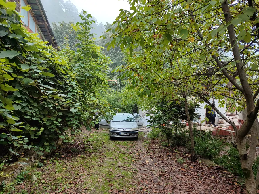 تصویر ۱ - کلبه سکوت جنگل در کلاردشت