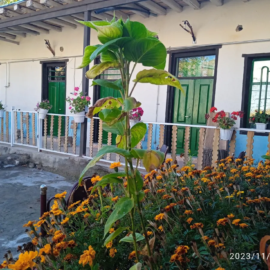 تصویر ۱ - اقامتگاه بومگردی بومگردی کامران در سراب