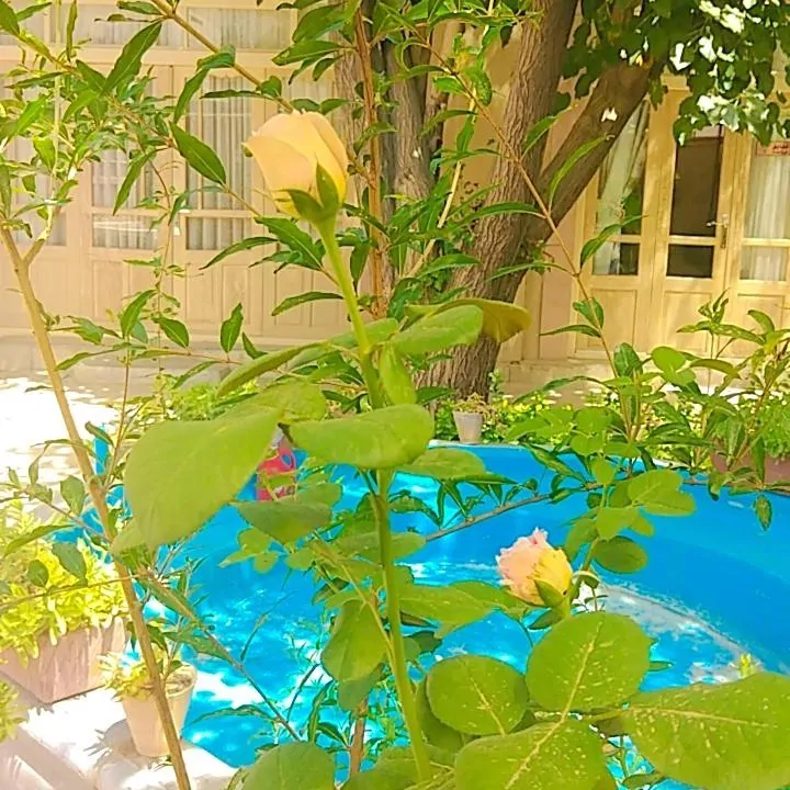 تصویر ۱ - هتل سنتی بیتوته(نرگس) در  اصفهان