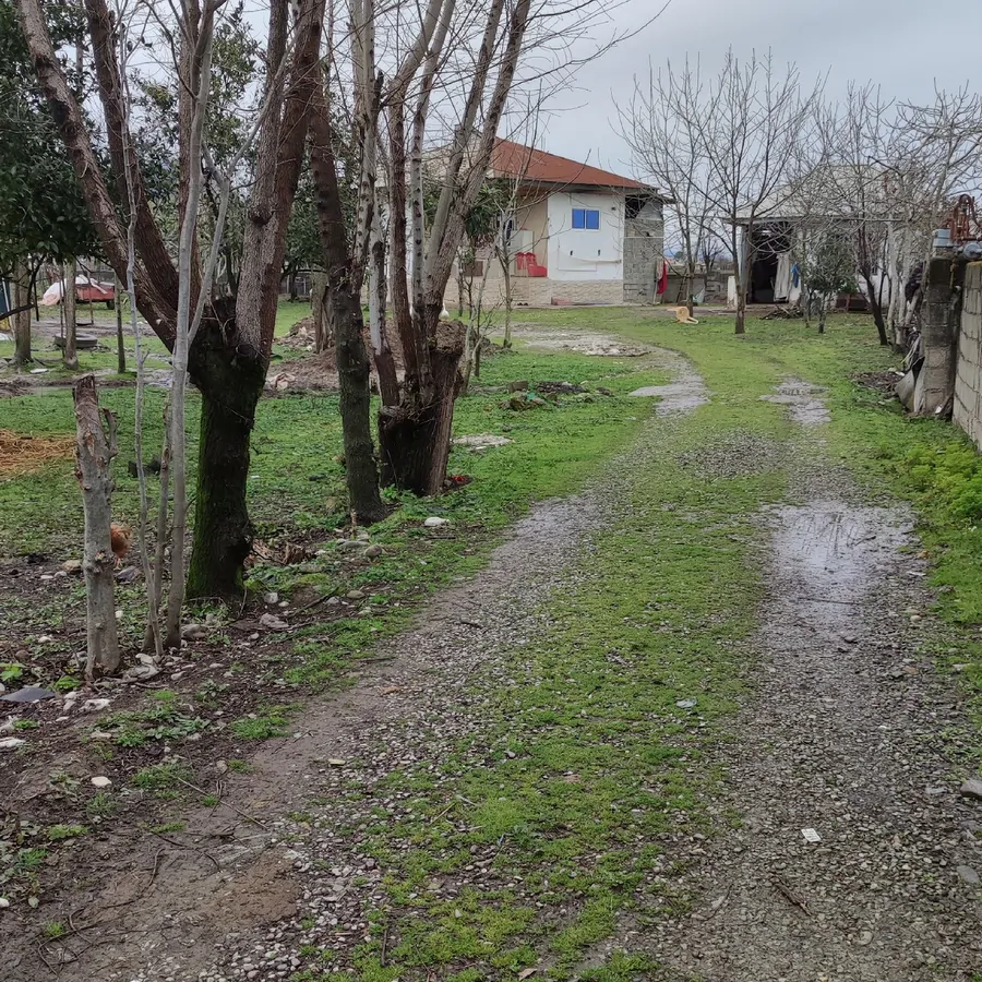 تصویر ۱ - ویلا خانه سبز  در  ماسال