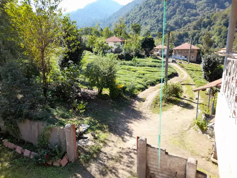 تصویر ۱ - سوییت دو عدد سوئیت جنگلی و باغ چای در  فومن