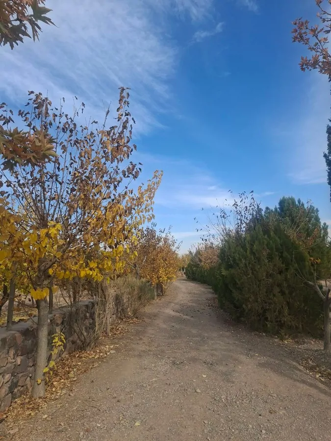 تصویر ۱ - کلبه بومگردی چهار تخته سنتی در شاهرود