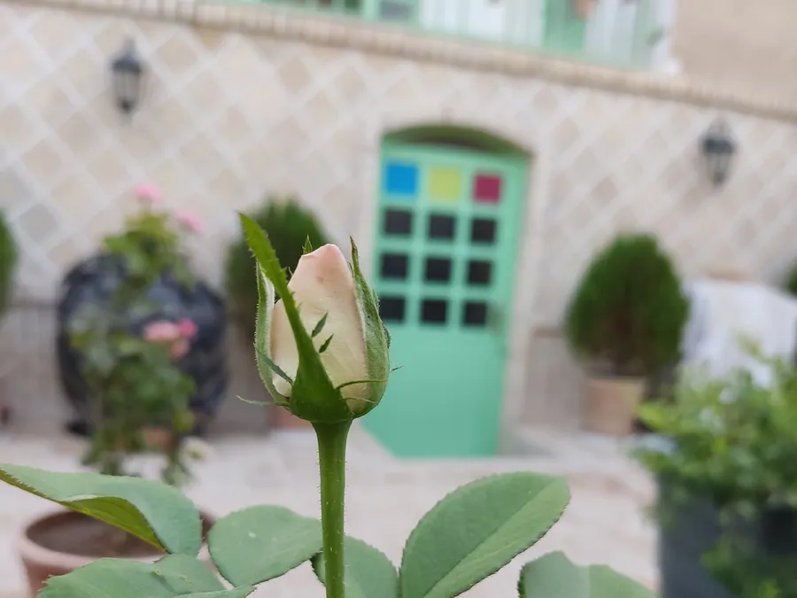 تصویر ۱ - اقامتگاه بومگردی هرمنگان بوانات در صفا شهر فارس