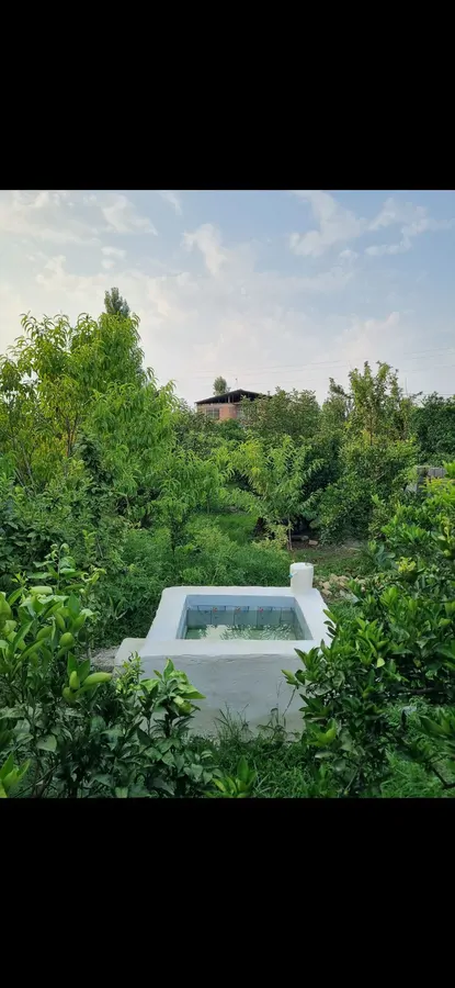 تصویر ۱ - ویلا ویلا باغی جکوزی دار در بابل