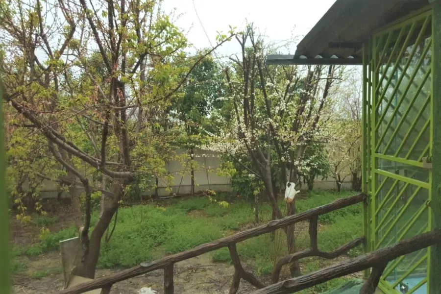 تصویر ۱ - ویلا جهان نما در  گرگان