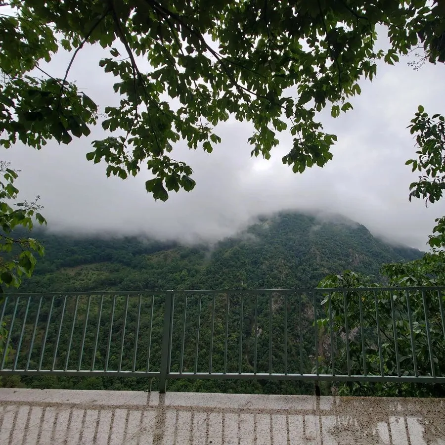 تصویر ۱ - ویلا جنگلی پنجک در مرزن آباد
