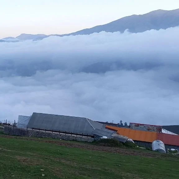 تصویر ۱ - کلبه کلبه جنگلی ماسال ییلاقات شنبه را در  ماسال