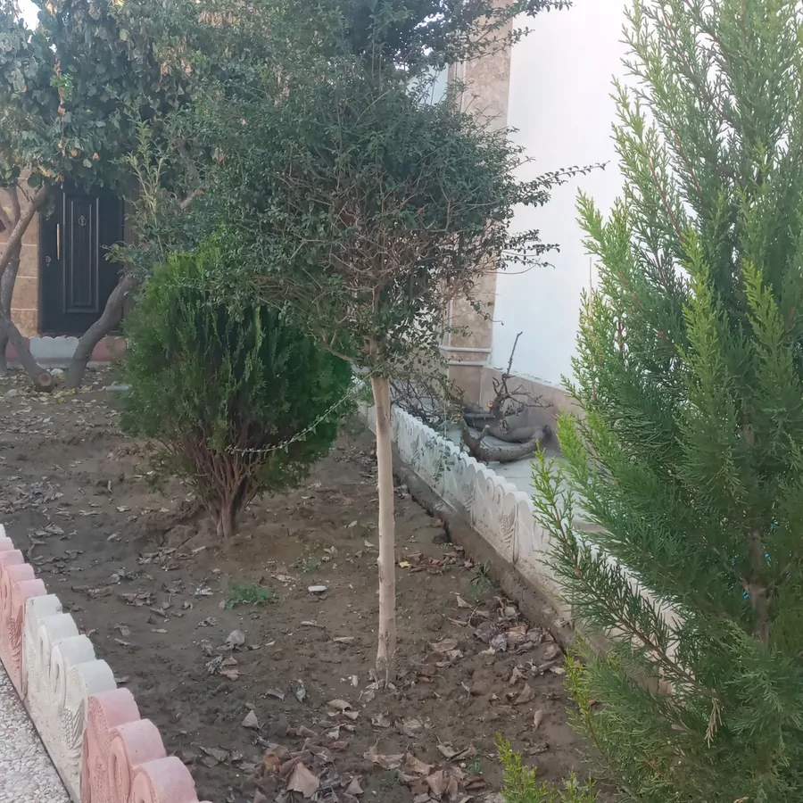 تصویر ۱ - مهمانسرا باغ ویلا در  ملارد 