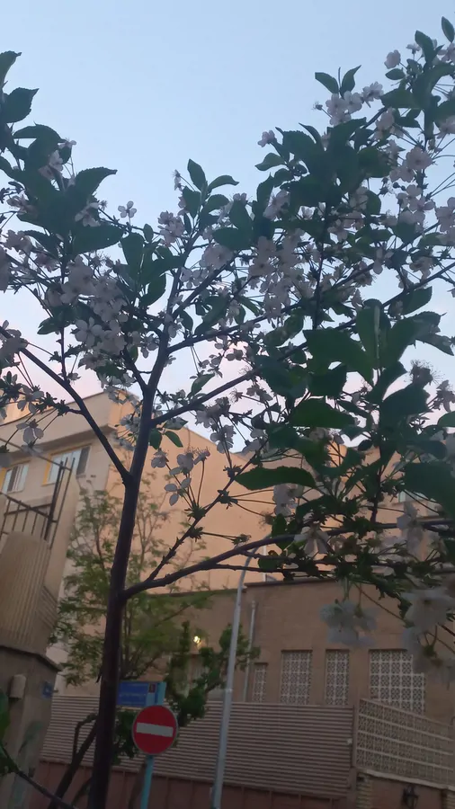 تصویر ۱ - ویلا الارا در  رودهن
