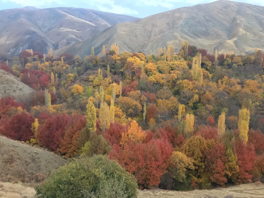 تصویر ۱ - سوییت چالان در  برغان