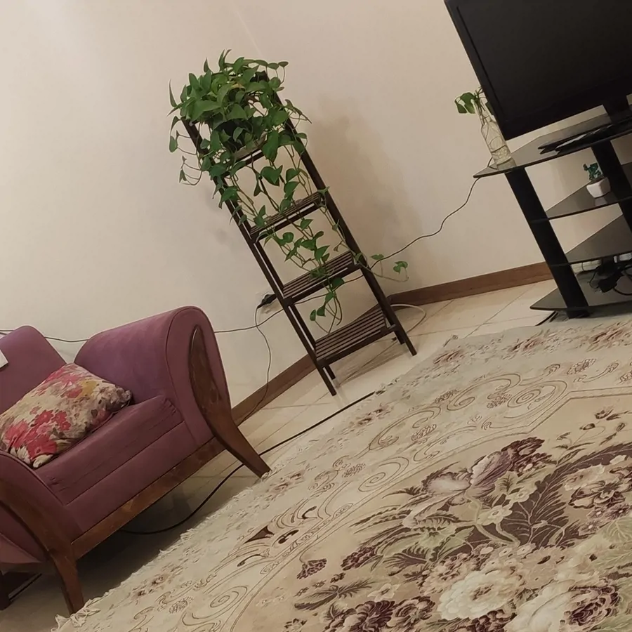 تصویر ۱ - آپارتمان آوا در  شیراز
