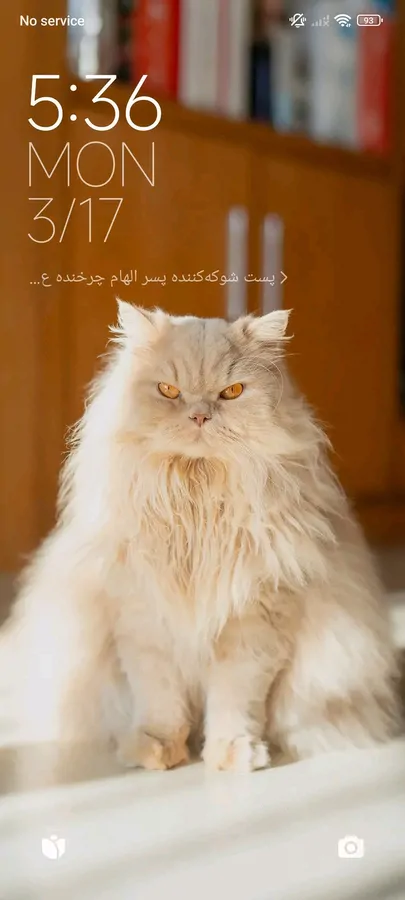 تصویر ۱ - آپارتمان vgggfdbbs در دبی
