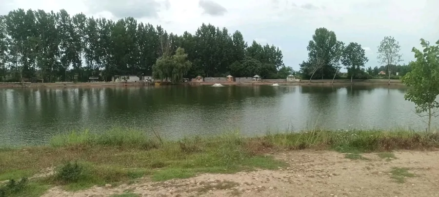 تصویر ۱ - ویلا چمستان نوساز شیک روزانه ماهیانه در چمستان