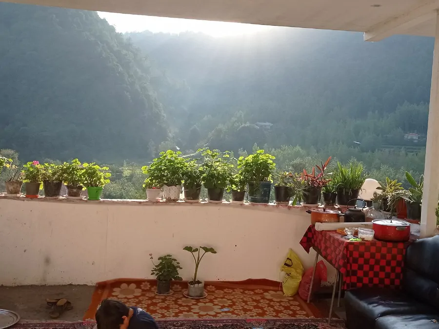 تصویر ۱ - آپارتمان جنگل در  شیرگاه