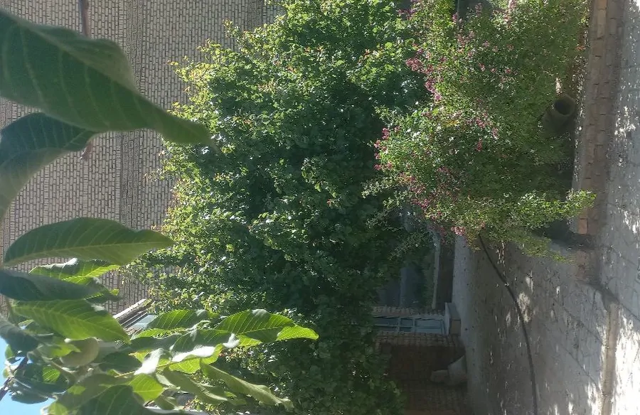 تصویر ۱ - ویلا ویلایی با محوطه بزرگ در تکاب