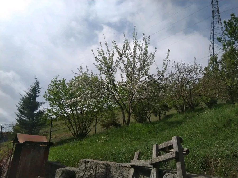 تصویر ۱ - کلبه تجربه ای خاص و فراموش نشدنی در نوشهر