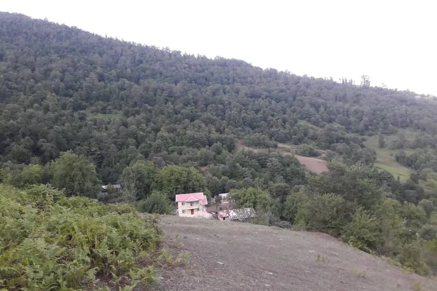 تصویر ۱ - ویلا کاملا جنگلی در طبیعت بکر در  تالش